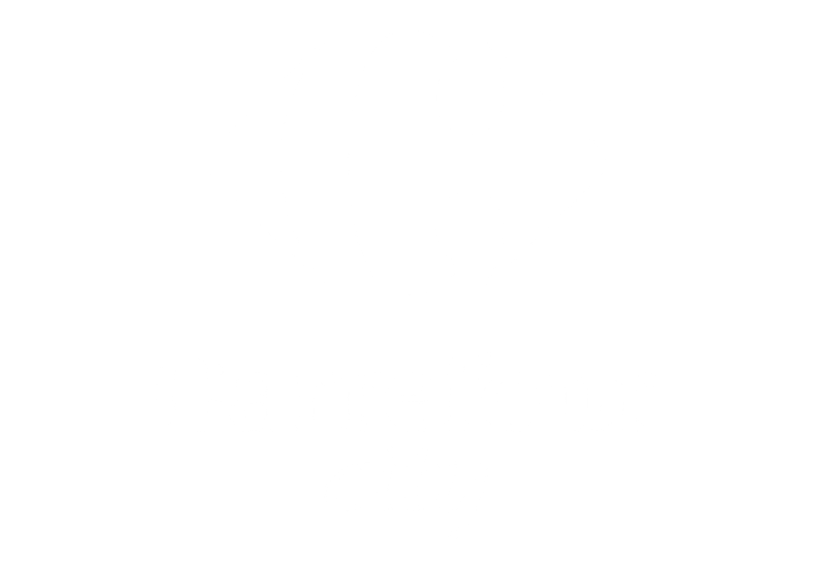 Carrefour City